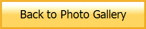 Back to Photo Gallery