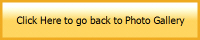 Click Here to go back to Photo Gallery