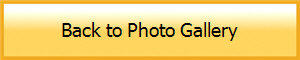 Back to Photo Gallery