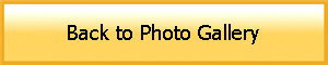 Back to Photo Gallery
